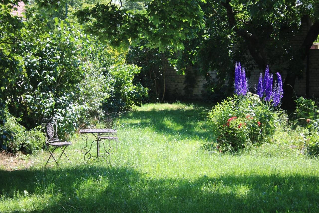 Ferienwohnung Am Weltnaturerbe Grumsin Ziehten Екстериор снимка
