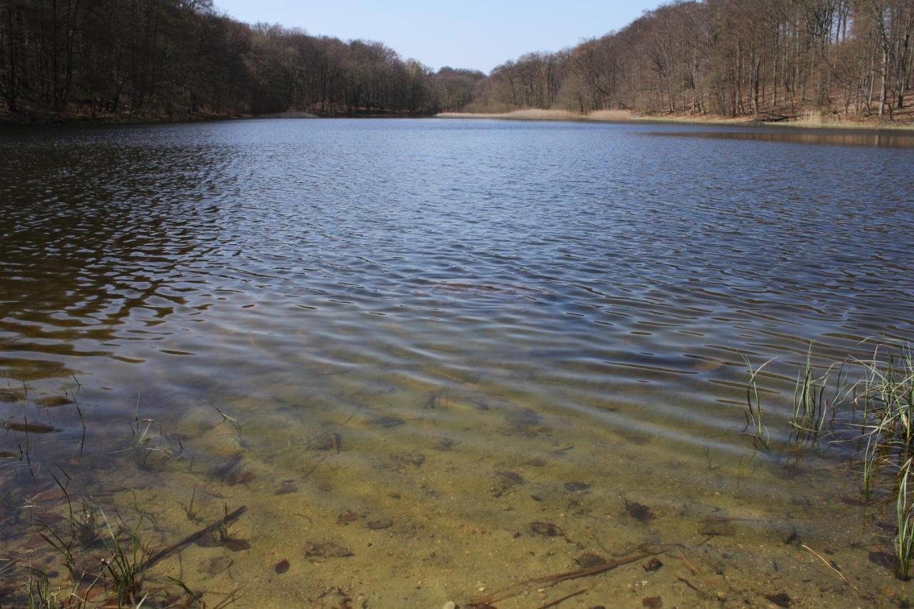 Ferienwohnung Am Weltnaturerbe Grumsin Ziehten Екстериор снимка